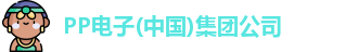 pp电子